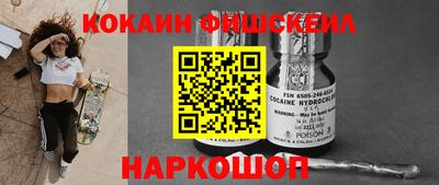 гидра Новозыбков