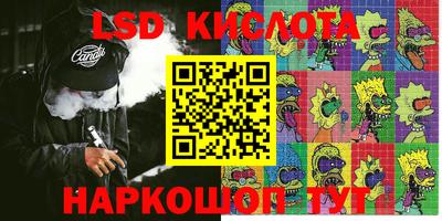гидра Новозыбков
