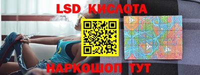 гидра Новозыбков
