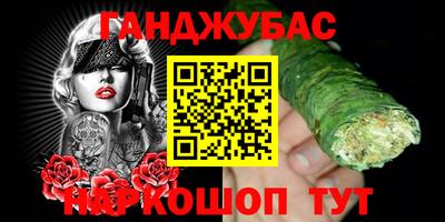 гидра Новозыбков