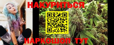 гидра Новозыбков