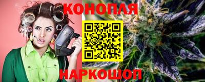 гидра Новозыбков