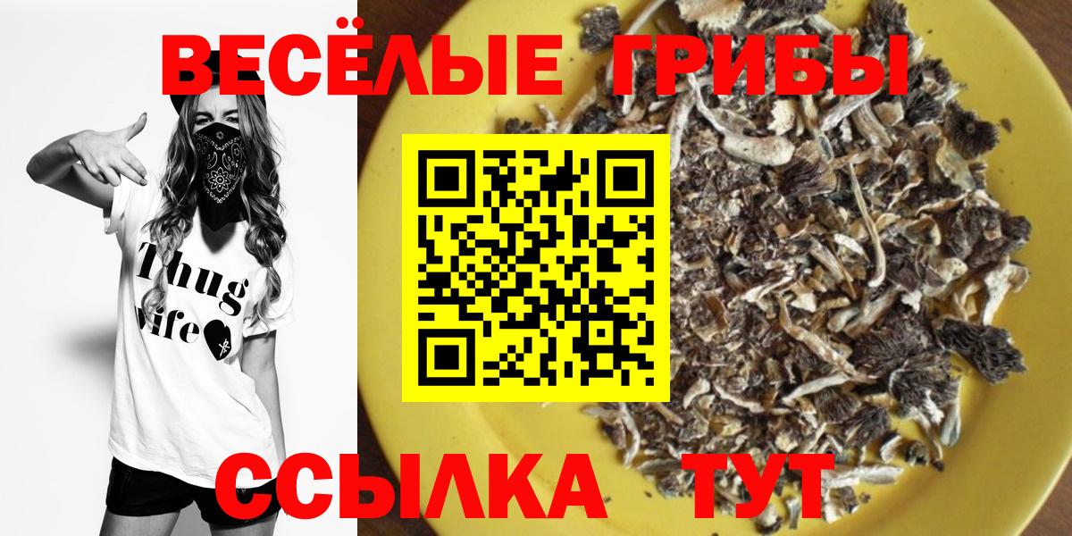 Псилоцибиновые грибы Cubensis Северск