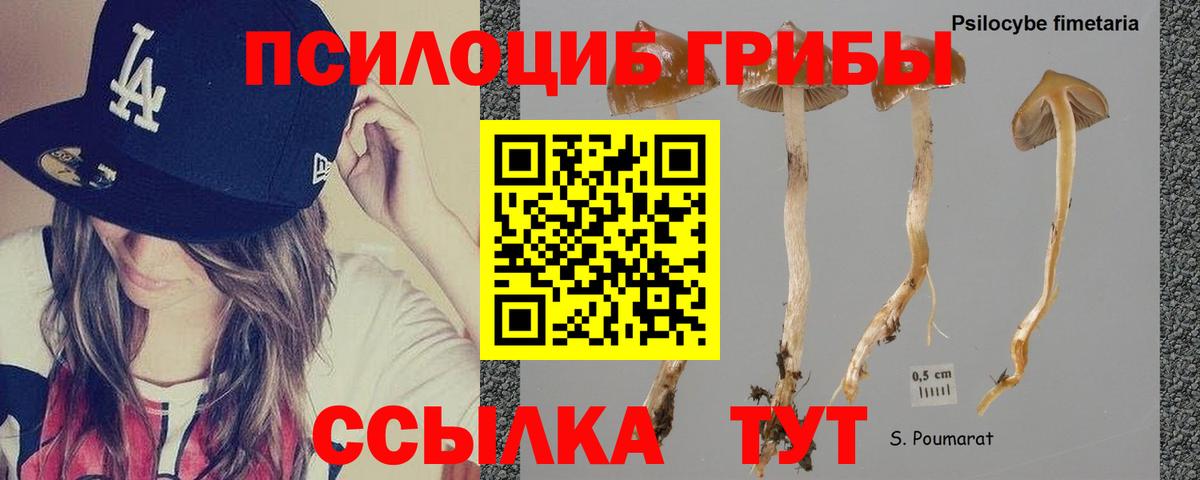 Галлюциногенные грибы GOLDEN TEACHER  Псилоцибиновые грибы ЛСД  Северск  Вход с VPN 